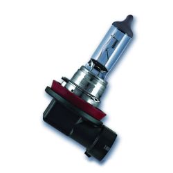 Halogen Bulbs