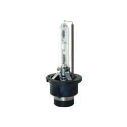 Gas Discharge Bulb