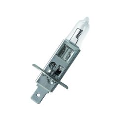 Halogen Bulbs