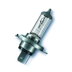 Halogen Bulbs
