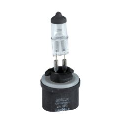 Halogen Bulbs