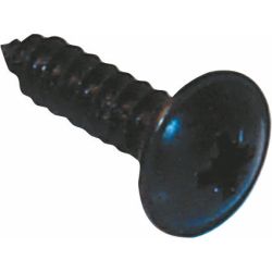 Self Tapping Screws